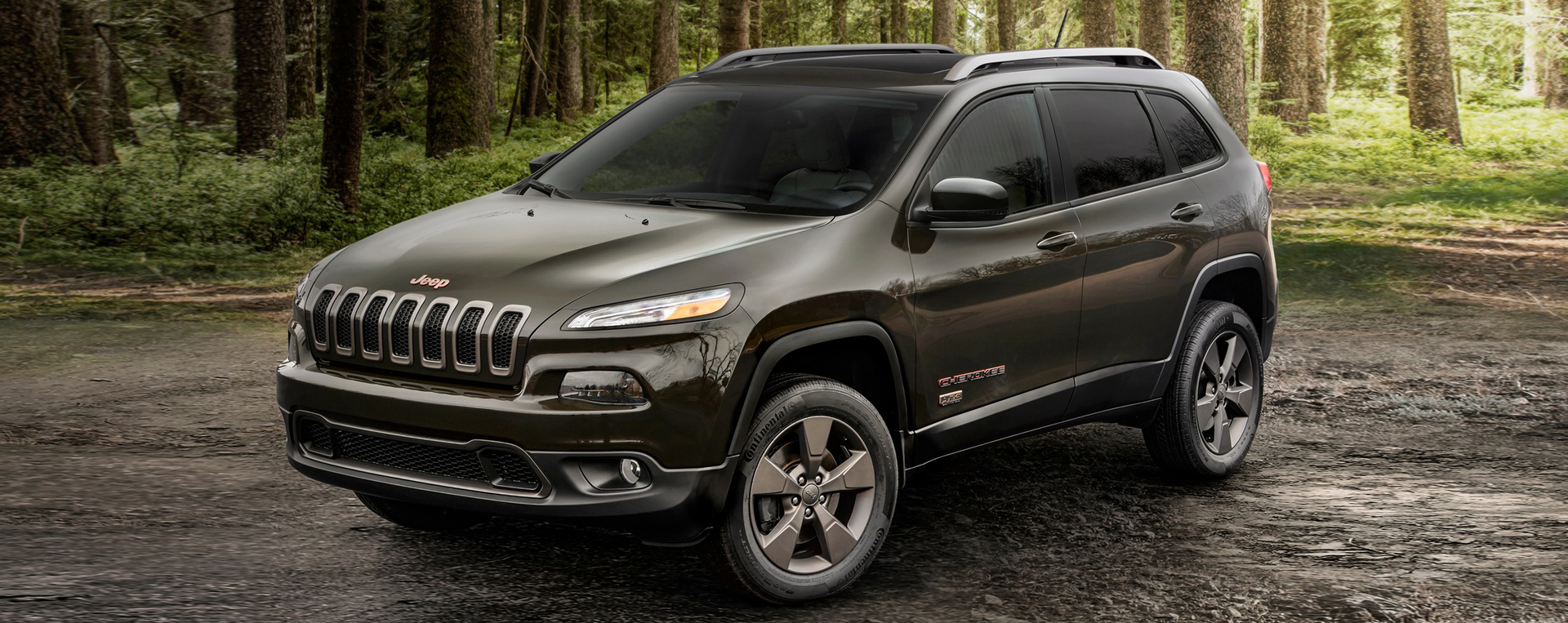 2017 jeep cherokke